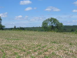 40+ Acres, Caledon - Country Homes for sale and Luxury Real Estate in Caledon and King City including Horse Farms and Property for sale near Toronto